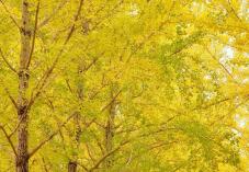 183253_3.jpg  : 153 KB