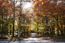 183255_1.jpg  : 389 KB