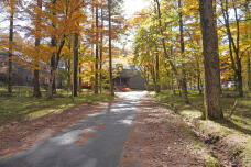 183255_2.jpg  : 409 KB