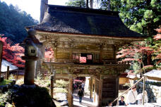 183257_1.jpg  : 223 KB