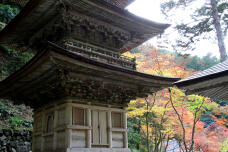 183257_2.jpg  : 204 KB