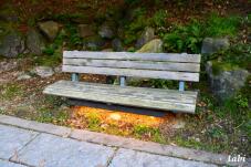 183261_4.jpg  : 97 KB