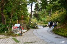 183261_6.jpg  : 118 KB