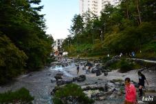 183261_8.jpg  : 99 KB