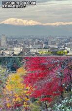 183269_1.jpg  : 227 KB