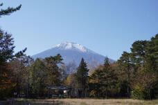 183270_2.jpg  : 190 KB