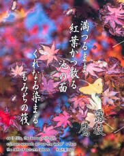 183275_1.jpg  : 278 KB