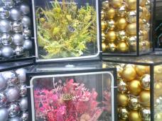 183276_1.jpg  : 126 KB