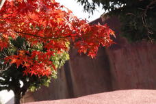 183277_2.jpg  : 153 KB