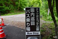 183281_3.jpg  : 62 KB