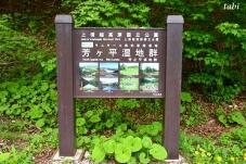 183281_4.jpg  : 71 KB