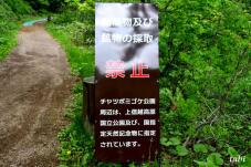 183281_6.jpg  : 56 KB