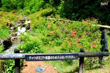 183281_8.jpg  : 76 KB