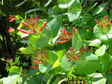 183283_2.jpg  : 72 KB