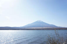 183305_1.jpg  : 126 KB