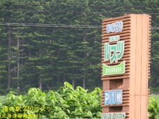 183313_1.jpg  : 73 KB