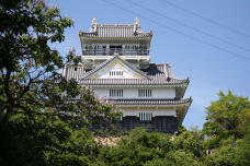 183335_1.jpg  : 115 KB