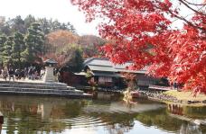 183340_1.jpg  : 157 KB