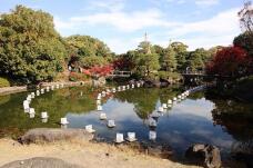 183340_2.jpg  : 133 KB