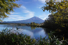 183347_1.jpg  : 289 KB