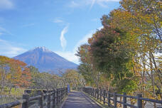 183347_2.jpg  : 297 KB