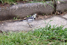 183351_1.jpg  : 128 KB