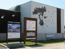 183362_3.jpg  : 44 KB