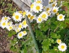 183367_1.jpg  : 70 KB