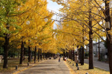 183369_1.jpg  : 159 KB