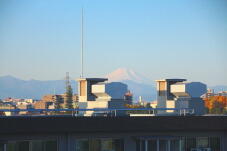 183371_2.jpg  : 41 KB