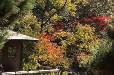 183377_2.jpg  : 183 KB