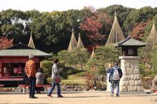 183389_2.jpg  : 142 KB