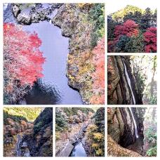 183394_1.jpg  : 196 KB