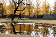 183399_3.jpg  : 155 KB