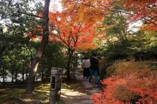 183407_2.jpg  : 178 KB