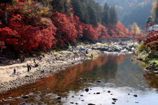 183415_2.jpg  : 131 KB