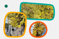 183417_1.jpg  : 247 KB