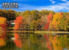 183429_2.jpg  : 115 KB