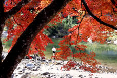 183431_1.jpg  : 158 KB