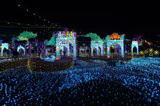 183432_1.jpg  : 339 KB