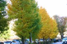 183435_1.jpg  : 88 KB