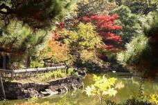 183440_1.jpg  : 170 KB