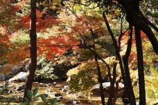 183440_2.jpg  : 175 KB