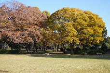 183451_1.jpg  : 342 KB