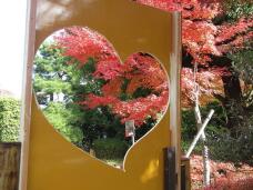 183456_2.jpg  : 136 KB