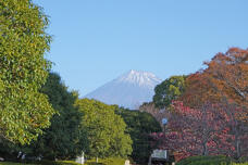 183462_1.jpg  : 251 KB