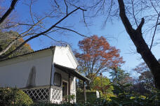 183493_2.jpg  : 305 KB