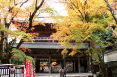 183494_2.jpg  : 161 KB