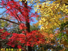 183506_2.jpg  : 137 KB