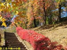 183506_3.jpg  : 125 KB